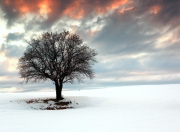 爱游戏官方入口-末节狂飙！哈利伯顿化身关键先生，骑士力克尼克斯