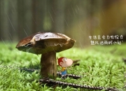 爱游戏官网-扼杀悬念，阿根廷的统治力与门神的证明之战