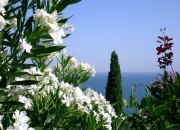 爱游戏下载-奥运周期前哨战，当活塞以107比68完成战术降维打击，深圳队看到了什么？