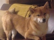 爱游戏-曼城爆冷，阿根廷逆袭，一场奥运前哨战的败者启示录