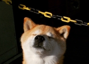 爱游戏APP-皮克临危救主，爱尔兰战术革命压制西班牙，红龙之心点燃逆转火焰