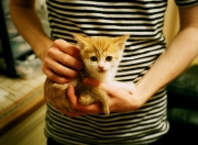 爱游戏下载-内外兼修，辽宁团队风暴熄灭雄鹿，莫兰特却在聚光灯下燃烧