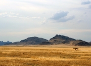 爱游戏官网-欧冠联赛次轮，广厦破晓之战