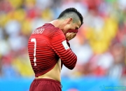 爱游戏-葡萄牙血洗马德里竞技，范佩西惊艳世界的简单介绍