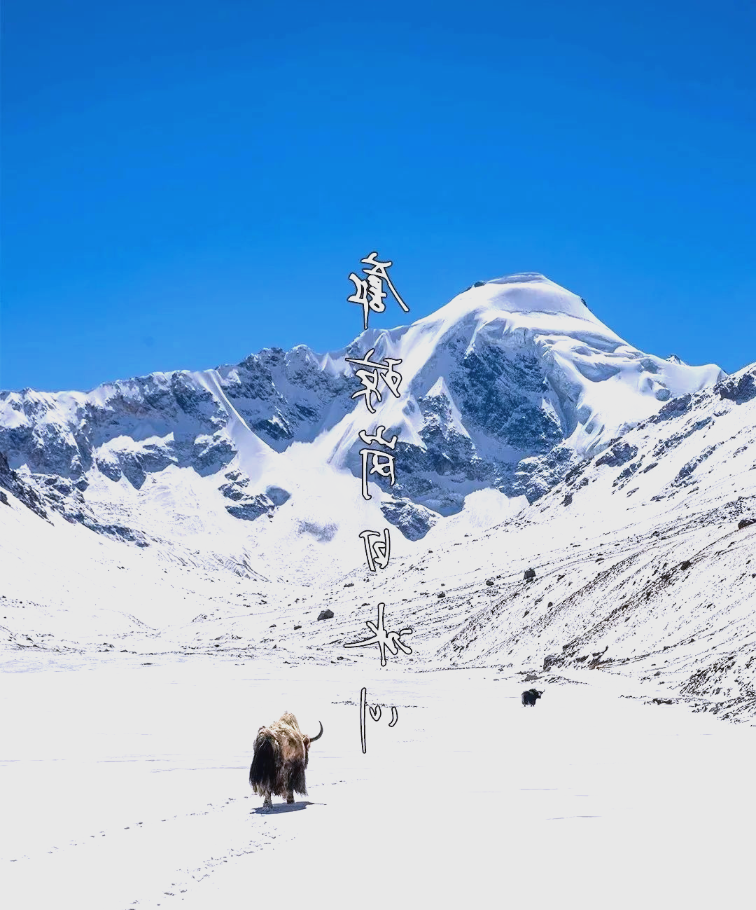 包含西藏冰川铿锵有力,争取更好成绩的词条 包含西藏冰川铿锵有力,争取更好成绩的词条