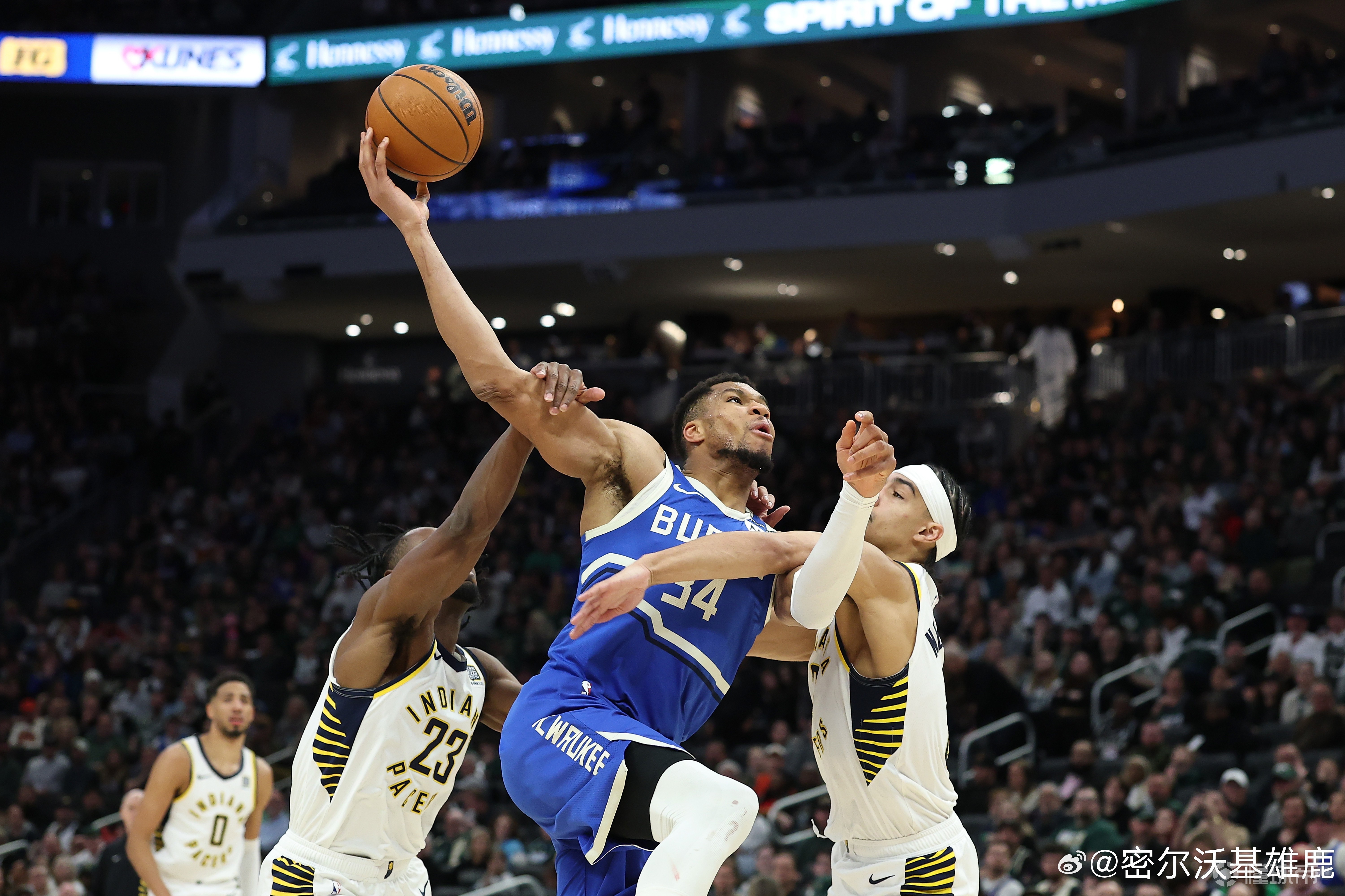 雄鹿主场大胜活塞，胜率飙升至85%