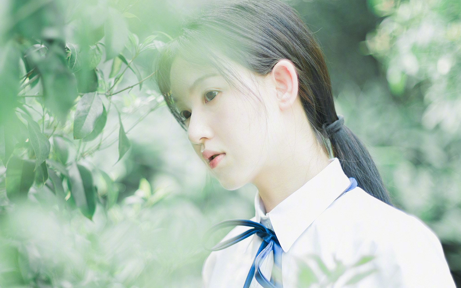 灰熊跨洋逆袭，当NBA蛮力撕裂CBA欧冠防线