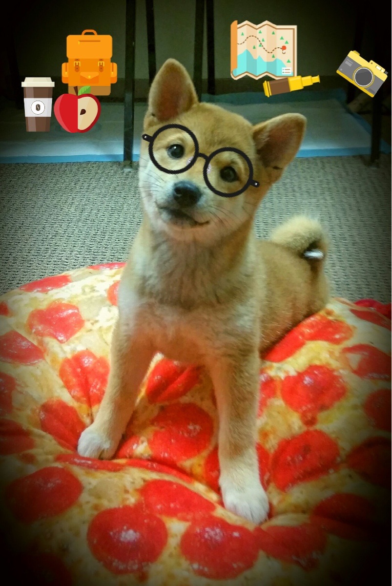 库尔图瓦神勇爆发引领胜利,丹麦险胜厄瓜多尔演绎绿茵悬念