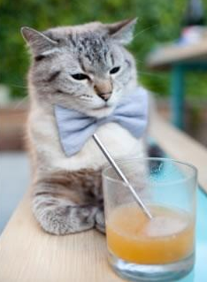 卡塞米罗双响定乾坤，爱尔兰对阵罗马一役的关键节点破局者