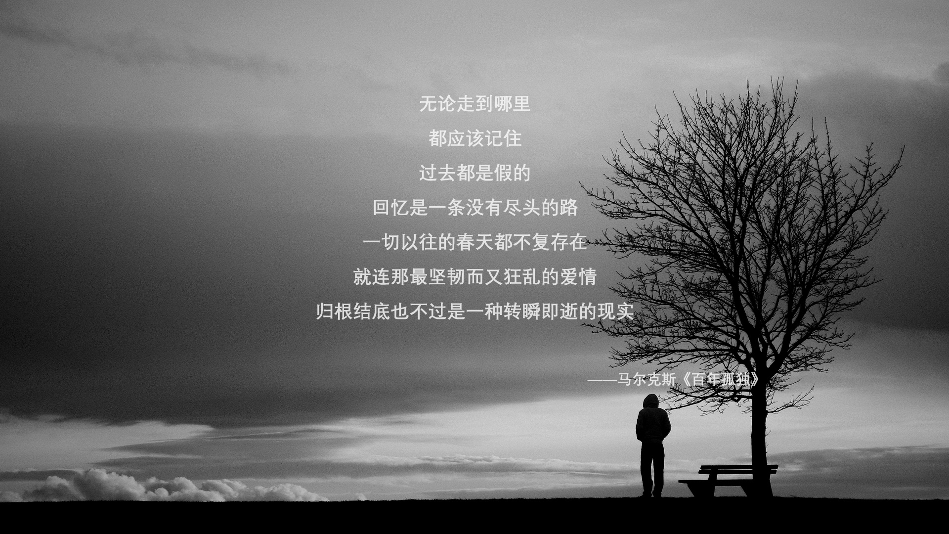 南美风暴席卷欧洲,布鲁诺一锤定音,委内瑞拉完胜奥地利启示录