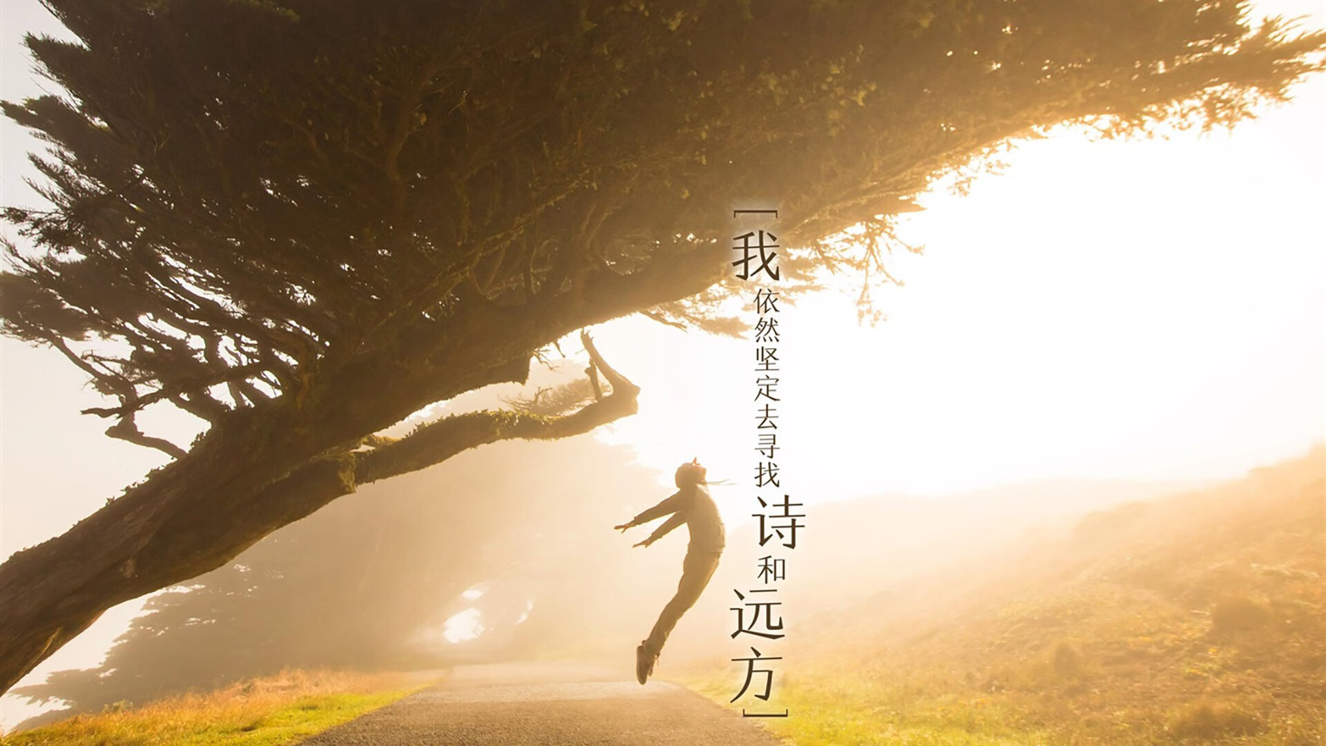 铁壁与主宰,法国连续得分压制葡萄牙,阿拉巴化身关键先生