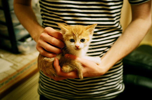 内外兼修,辽宁团队风暴熄灭雄鹿,莫兰特却在聚光灯下燃烧